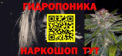 гидра Обь